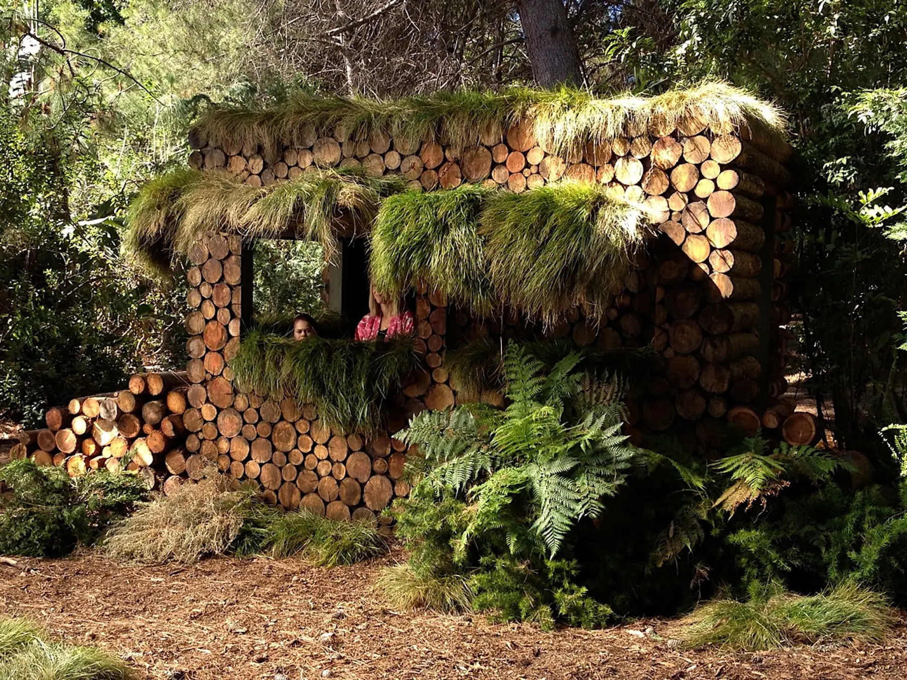 Wooden log cabin with grass roof