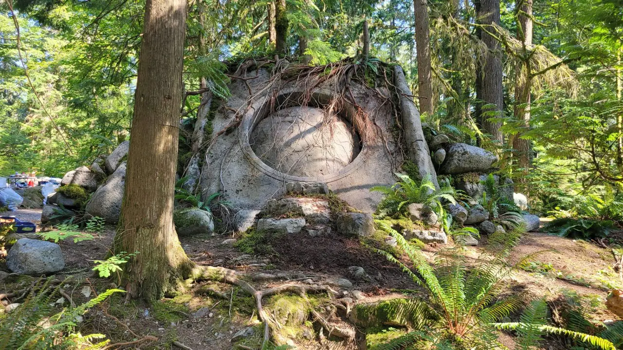 Overgrown stone ruin in woodland setting